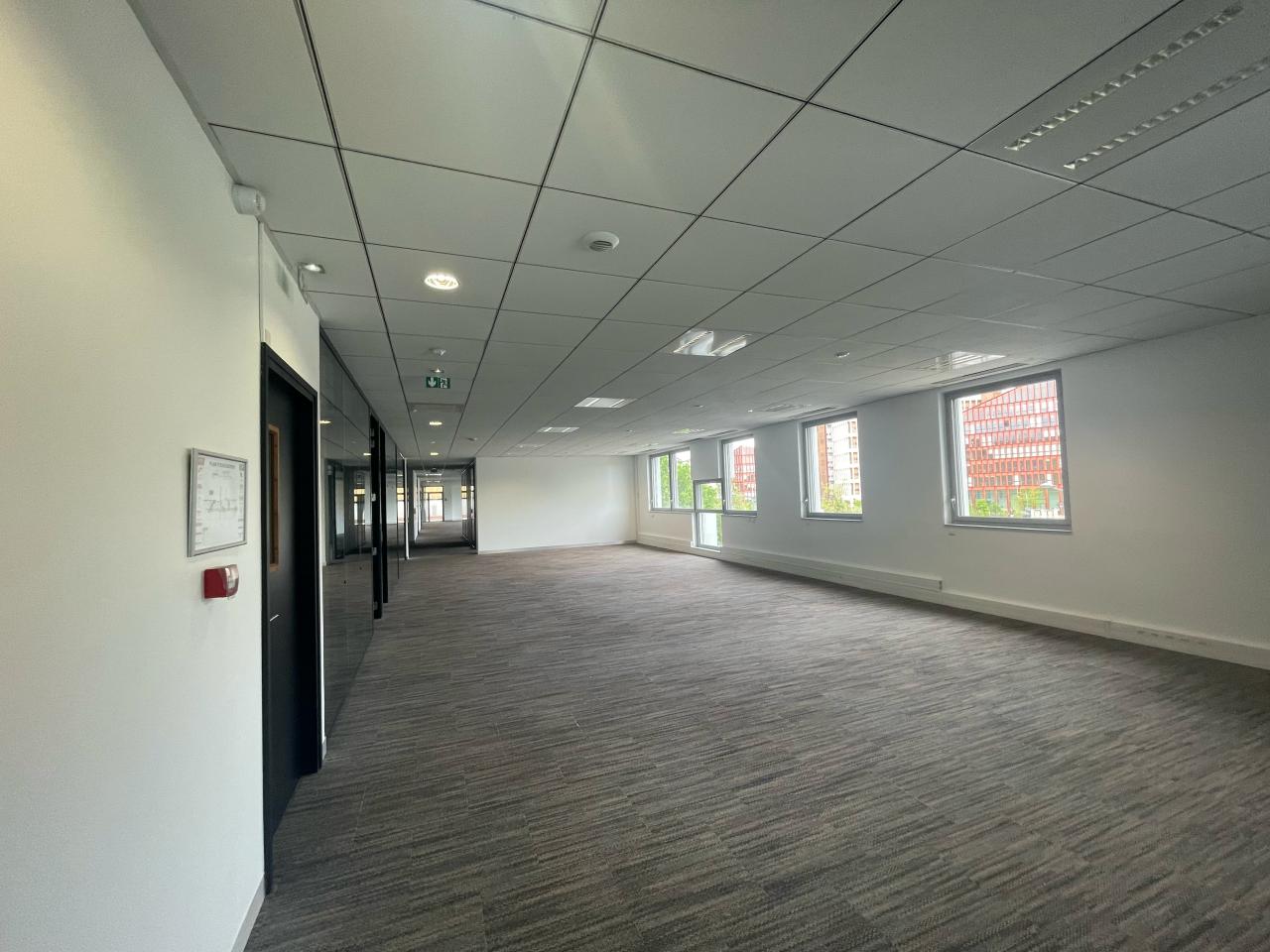Bureau Lyon 3679m² Location bureau Lyon Rhône OLBUR2112030 13